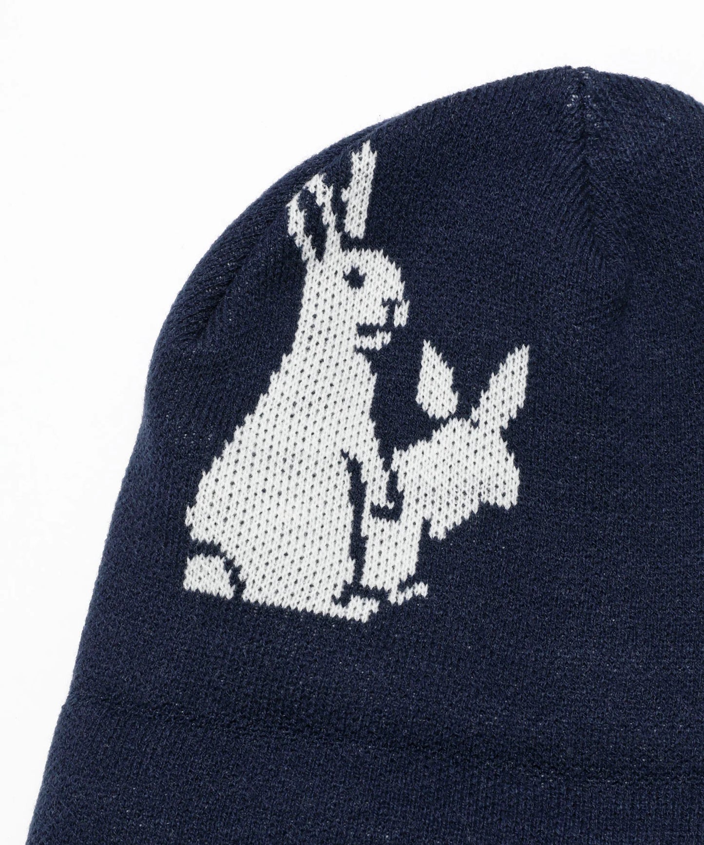 Fxxking Rabbits Beanie