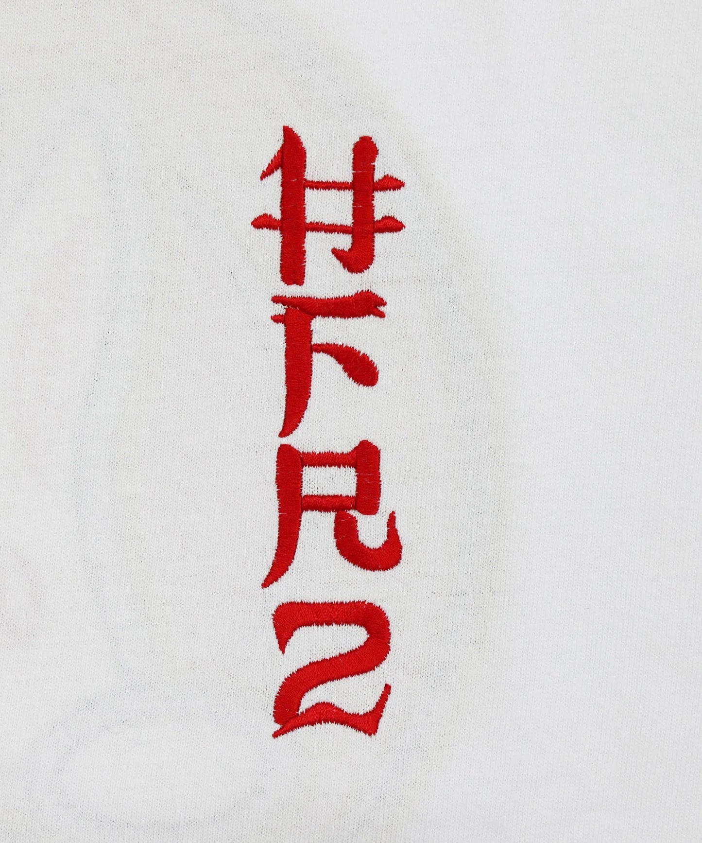 Embroidery 頭狂色情兎 T-shirt