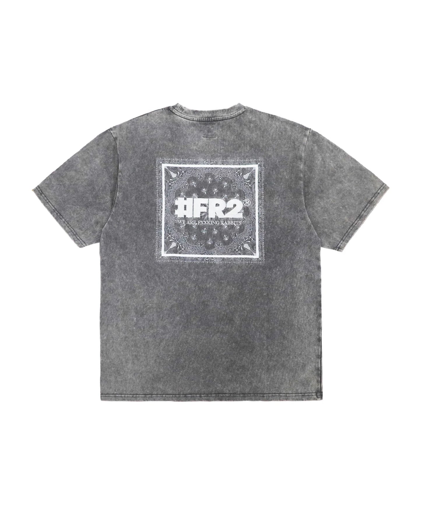 Acid Wash Embroidery Paisley T-shirt