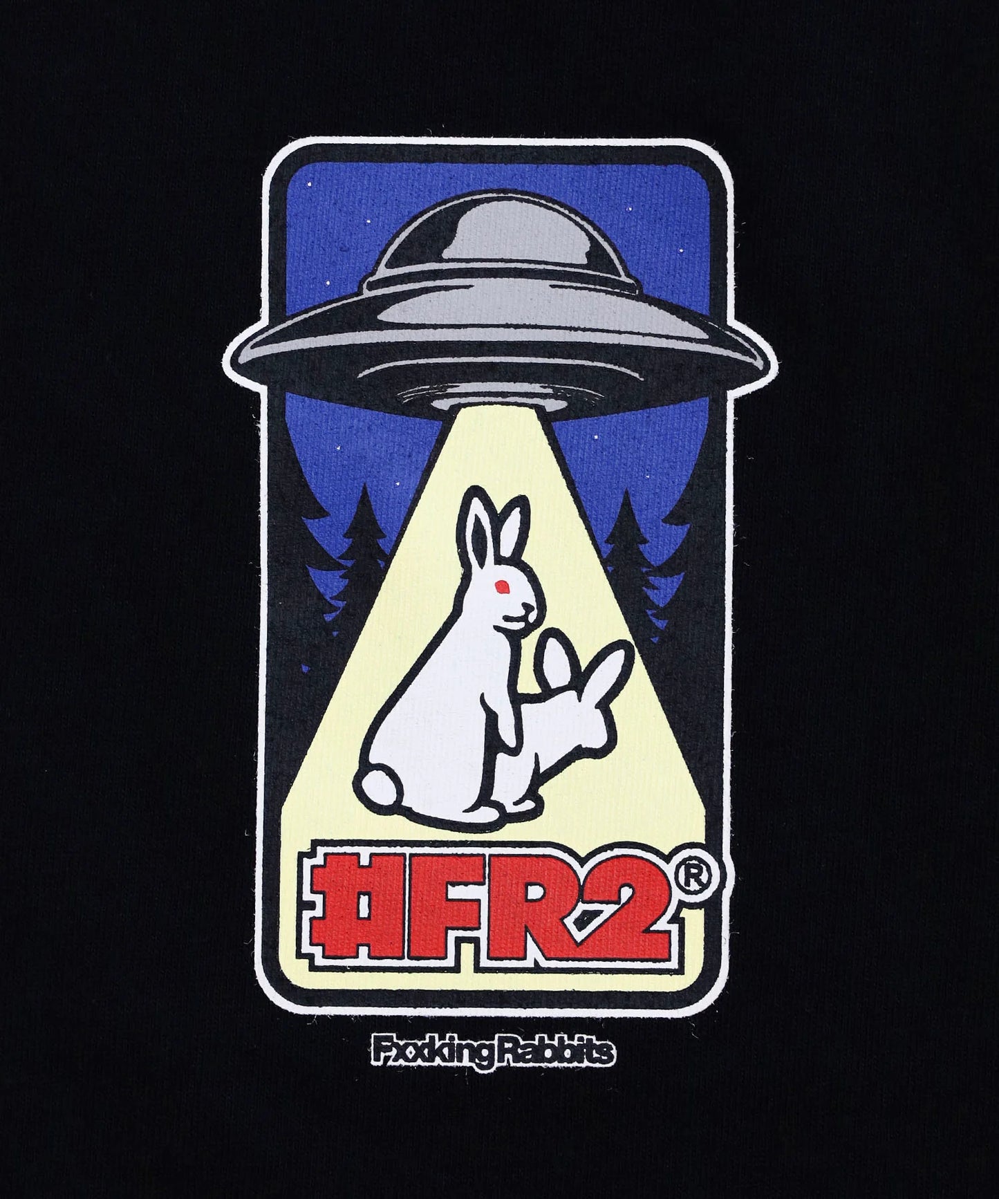 Rabbits Abducted by UFO Hoodie