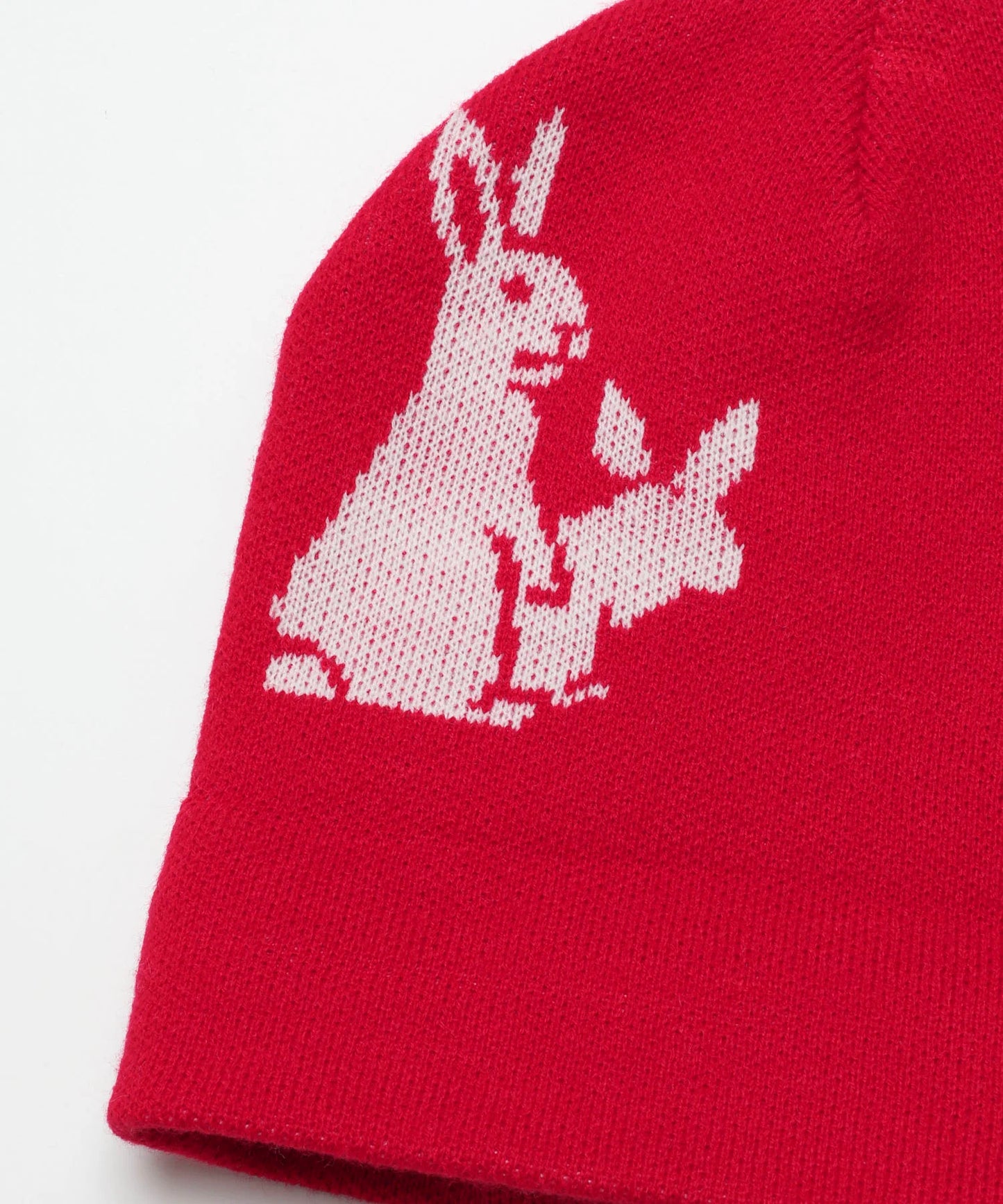 Fxxking Rabbits Beanie