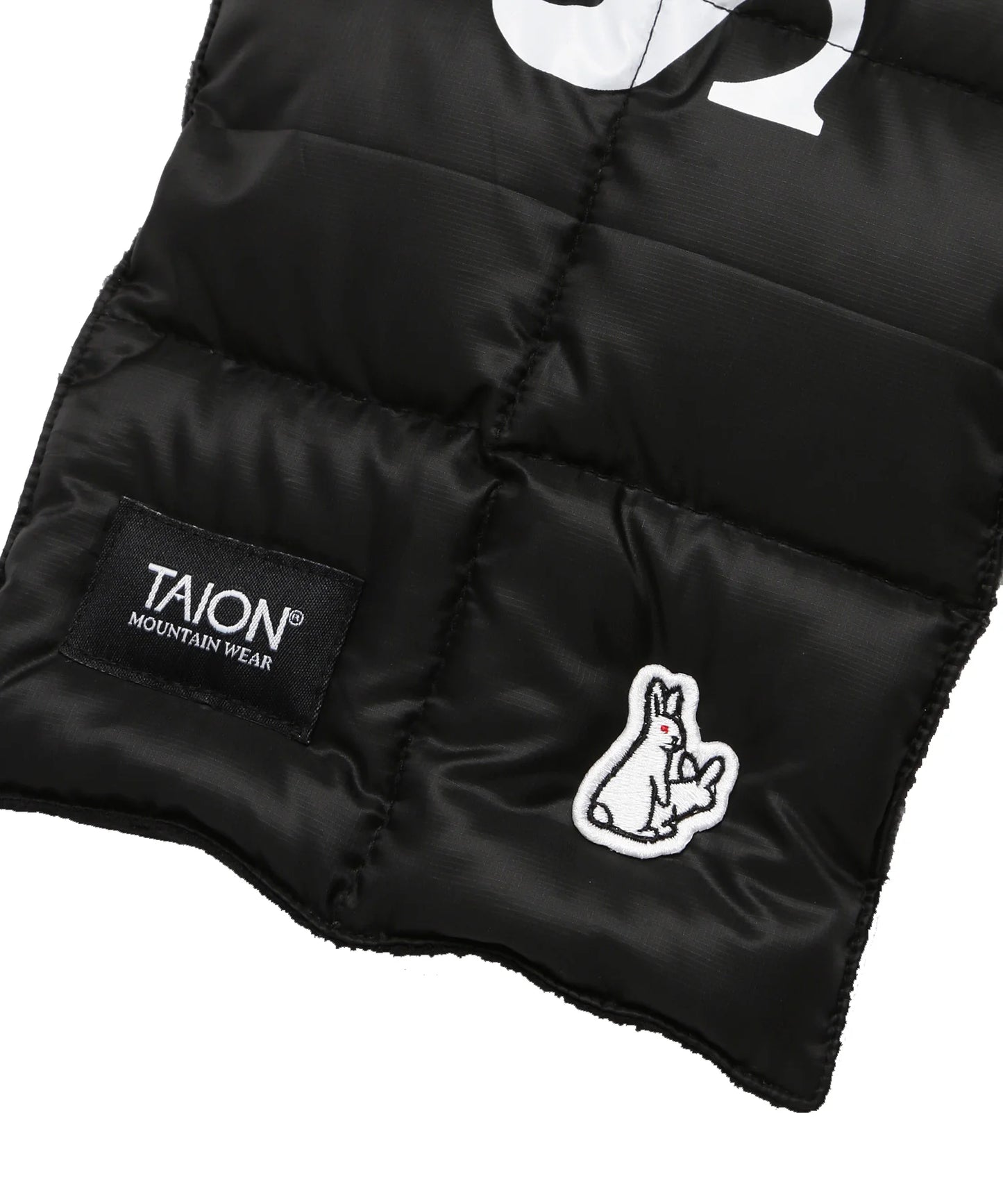 TAION Collaboration with #FR2 Down Muffler