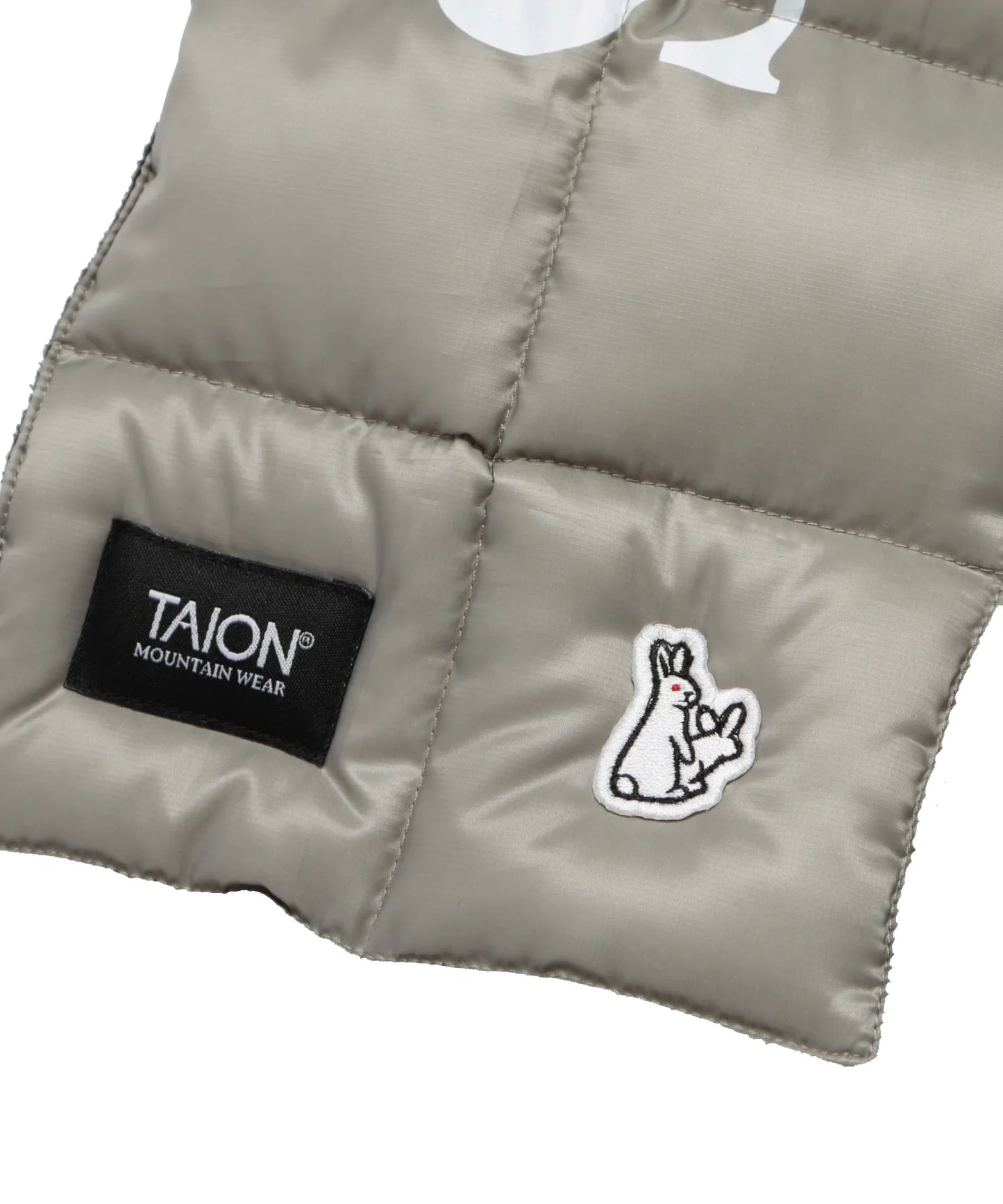 TAION Collaboration with #FR2 Down Muffler