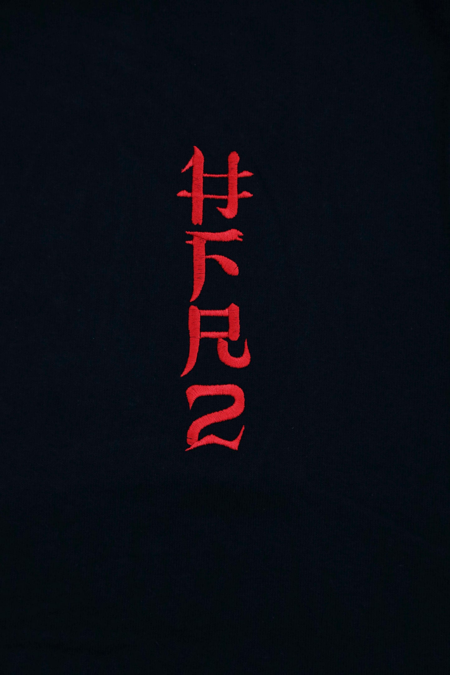 Embroidery 頭狂色情兎 T-shirt
