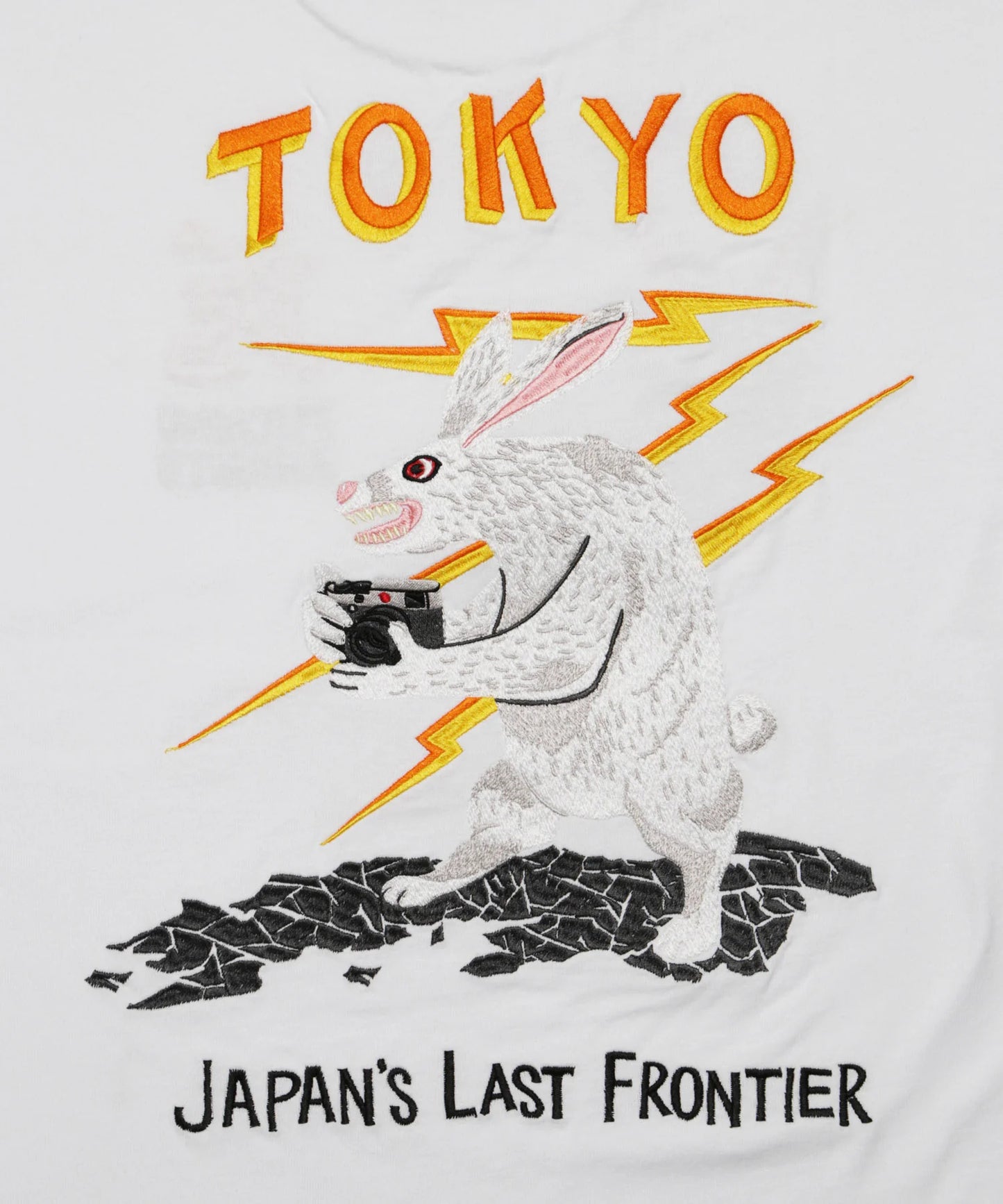 TOKYO Embroidery Souvenir T-shirt