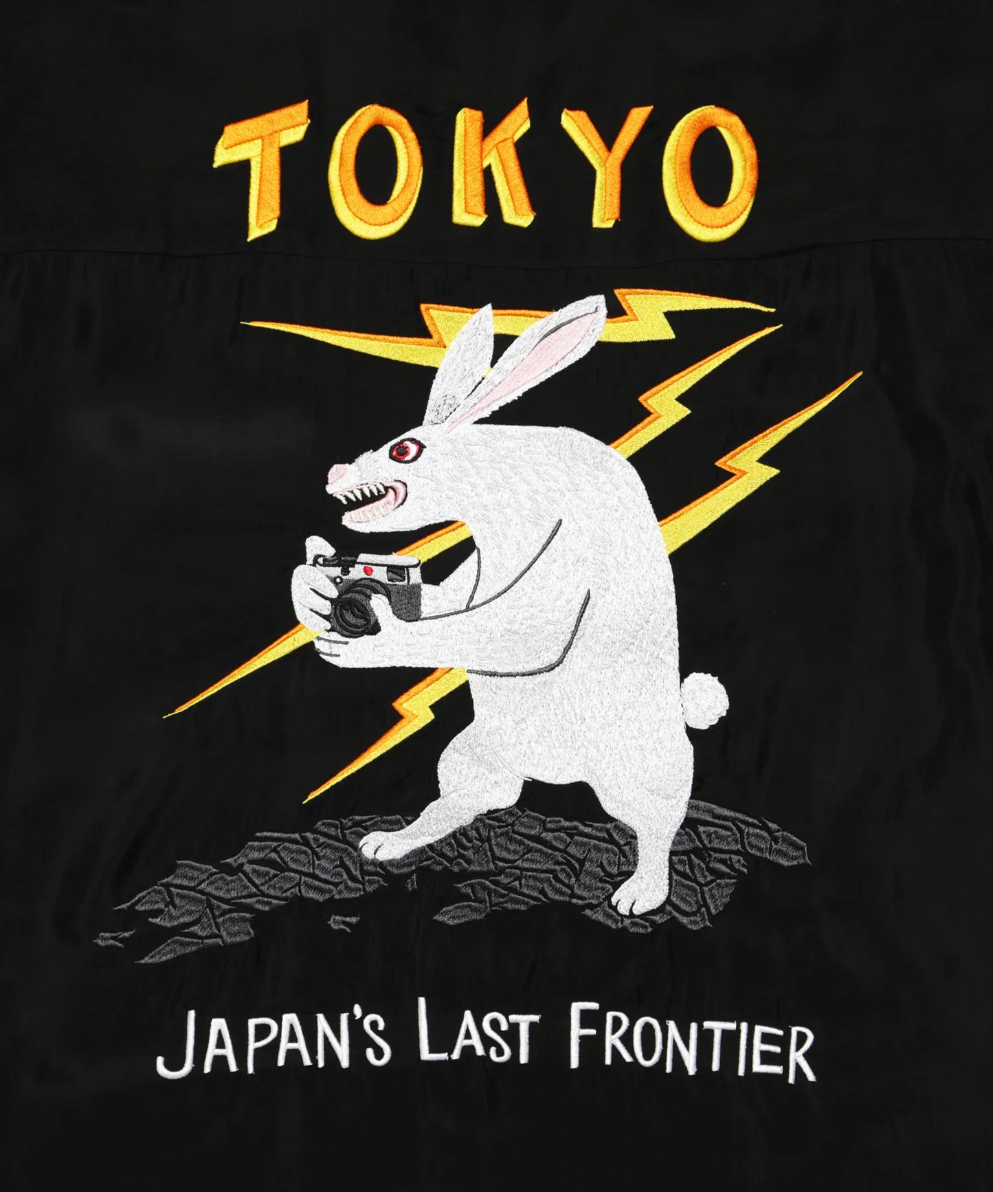 TOKYO Souvenir Embroidery Short sleeve Shirt