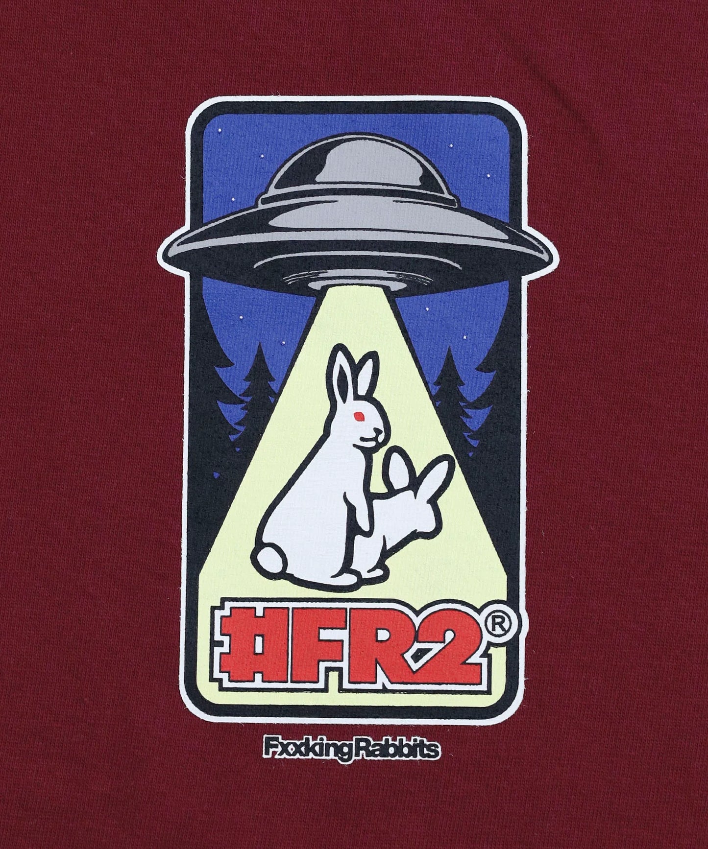 Rabbits Abducted by UFO Hoodie