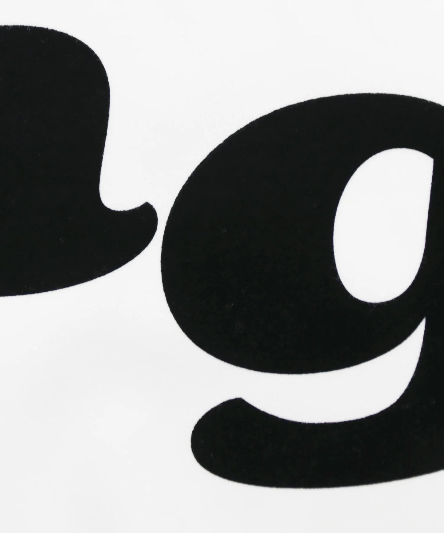 Flocky Logo Sweatshirt