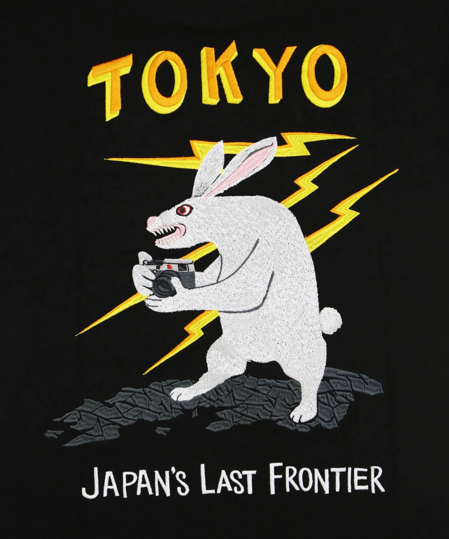 TOKYO Embroidery Souvenir T-shirt