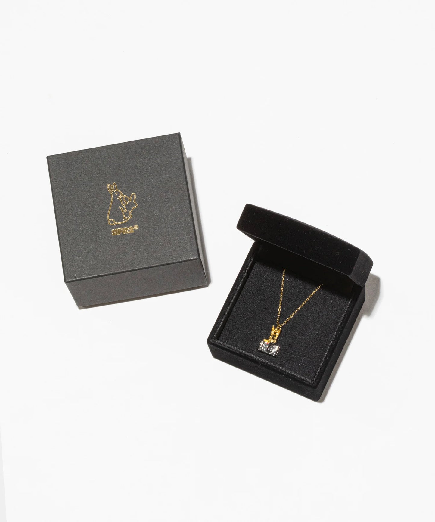 Dancing Stone Photographer Rabbit Necklace