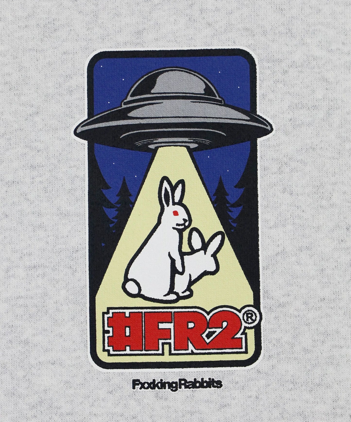 Rabbits Abducted by UFO Hoodie
