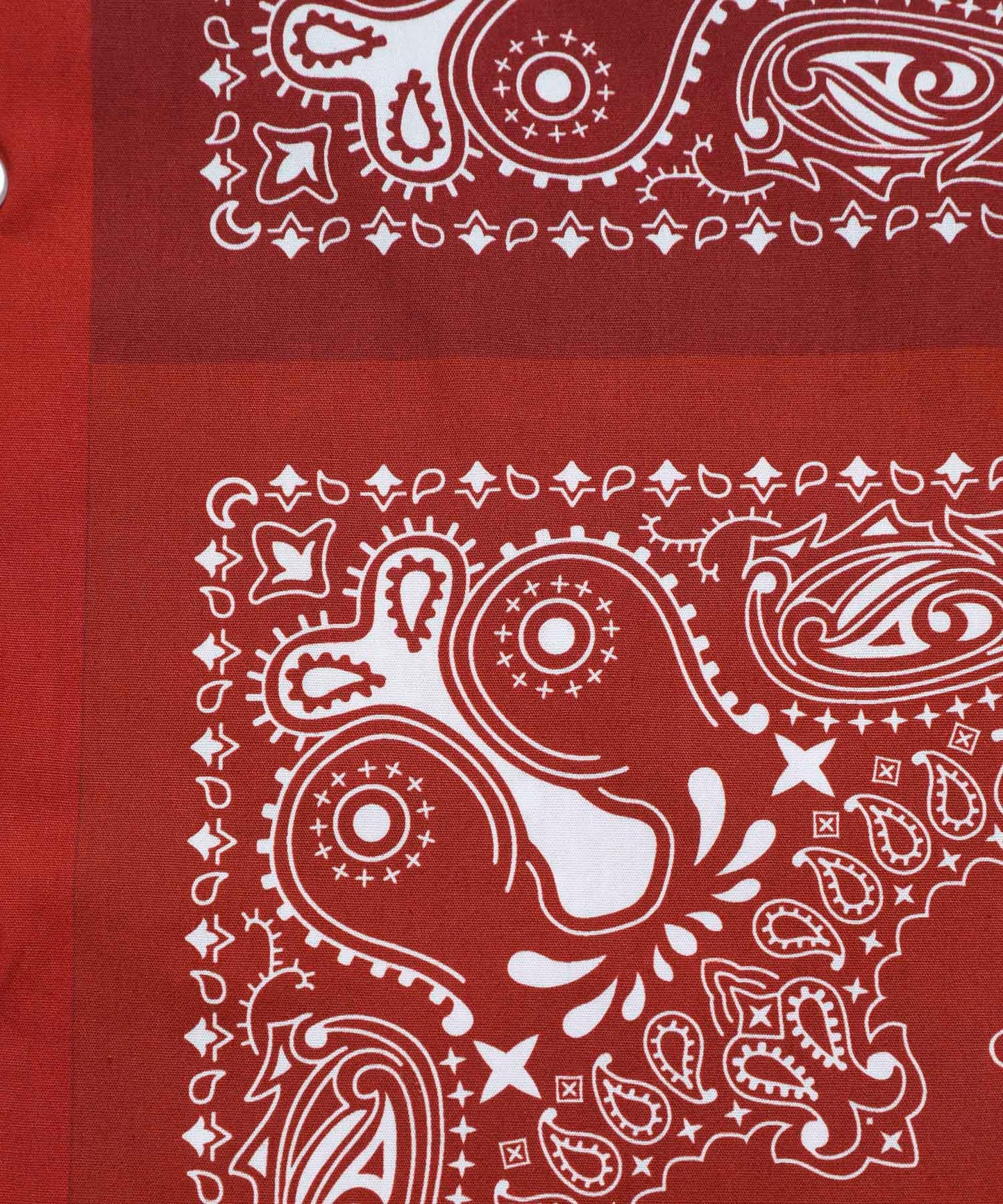 Paisley Shirt[FRS021]