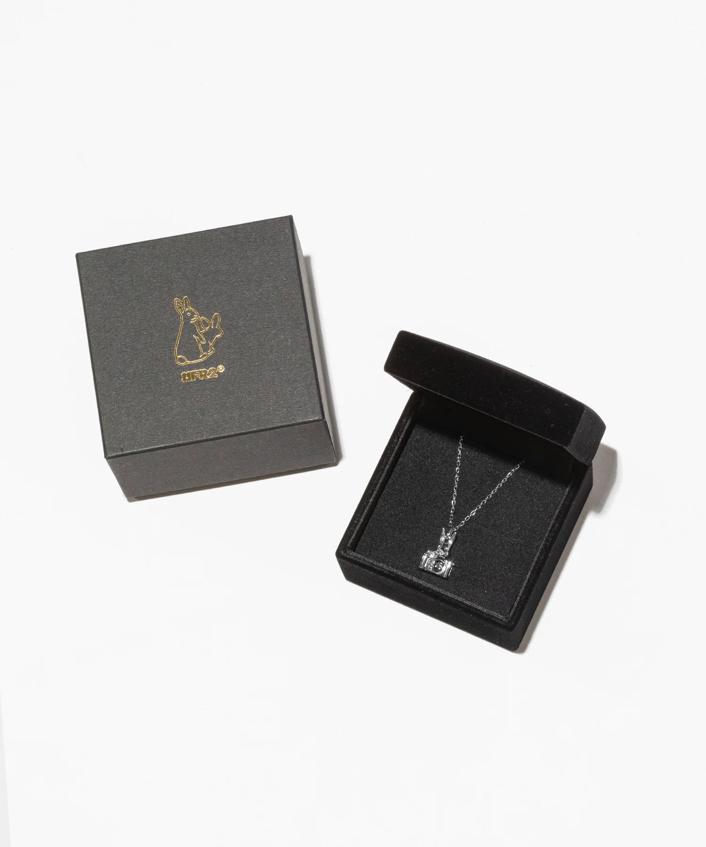 Dancing Stone Photographer Rabbit Necklace