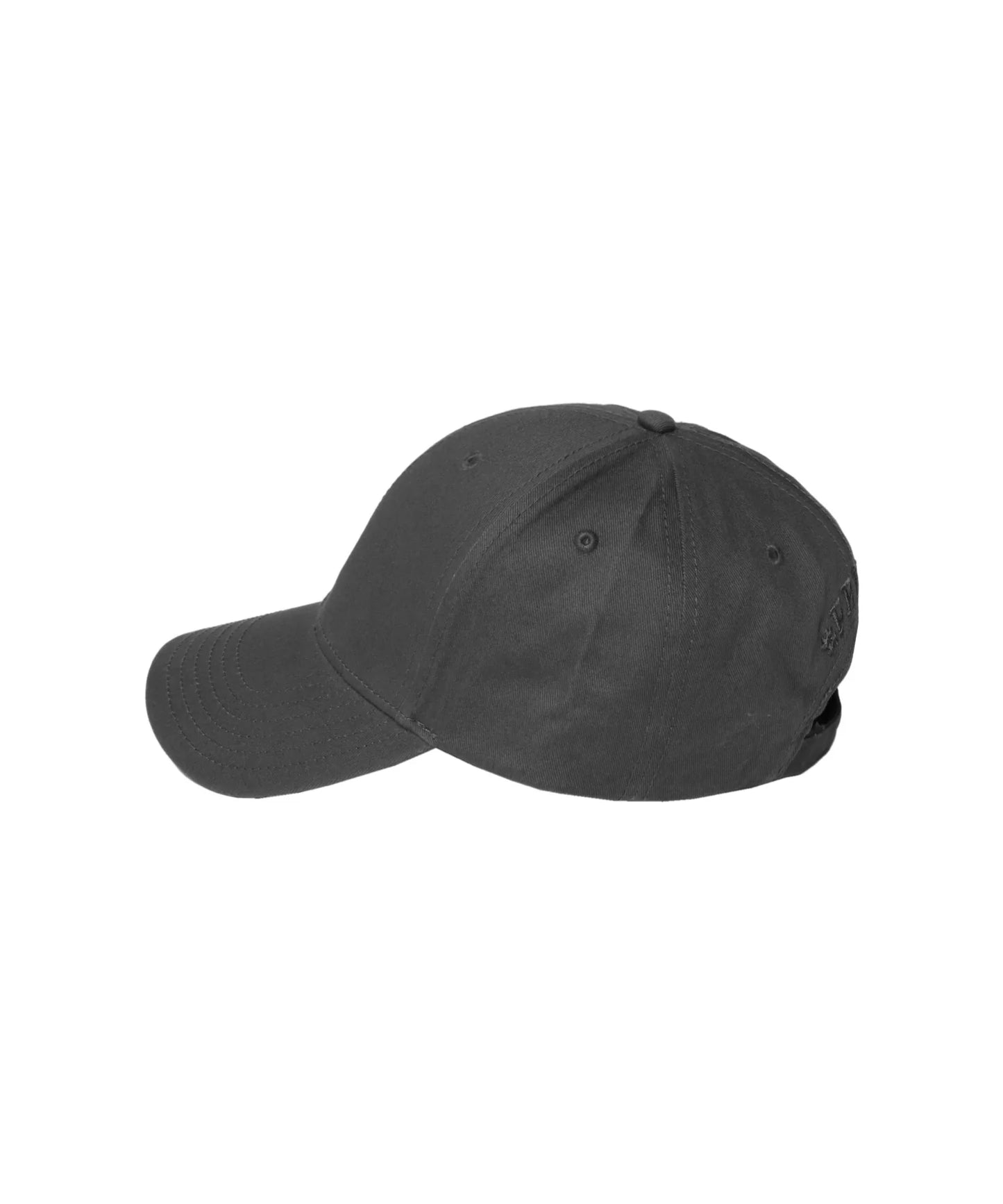 Rabbits Icon Six Panel Cap