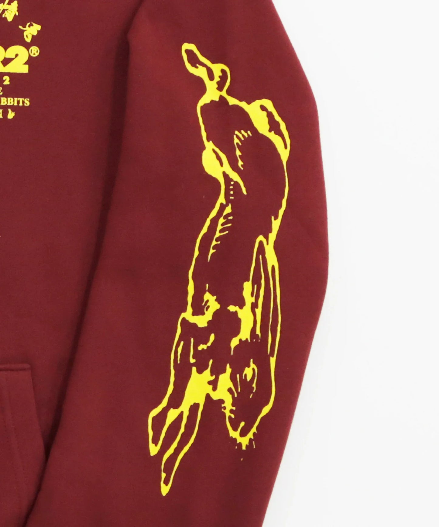 Rabbit Painting Hoodie