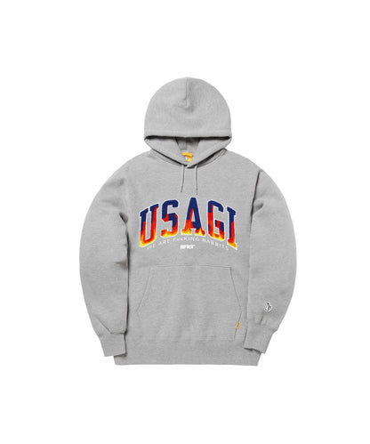 USAGI Logo Hoodie