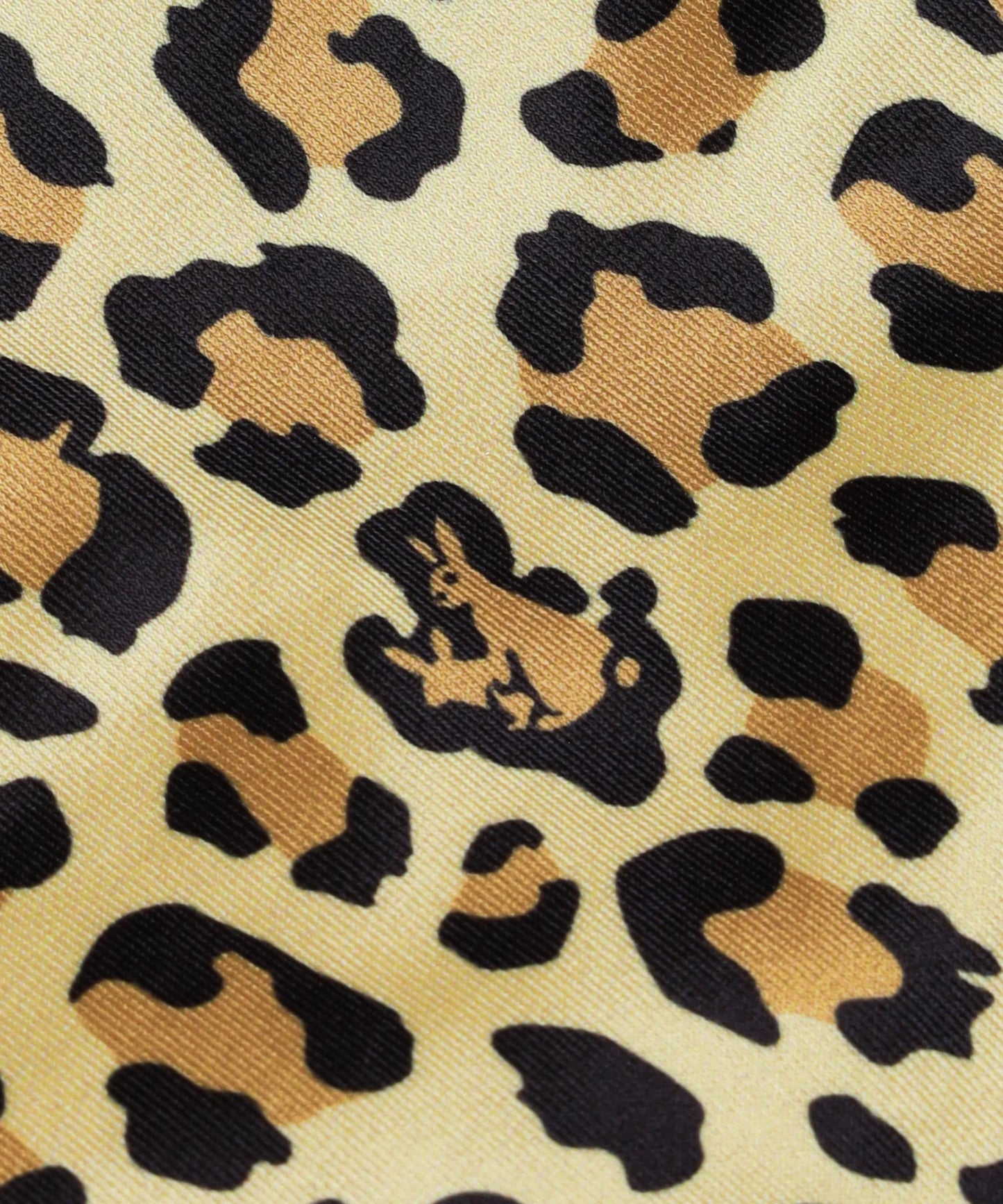 Reversible Leopard Bikini
