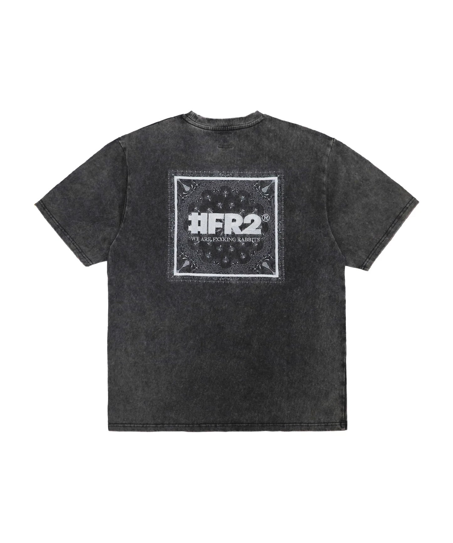 Acid Wash Embroidery Paisley T-shirt