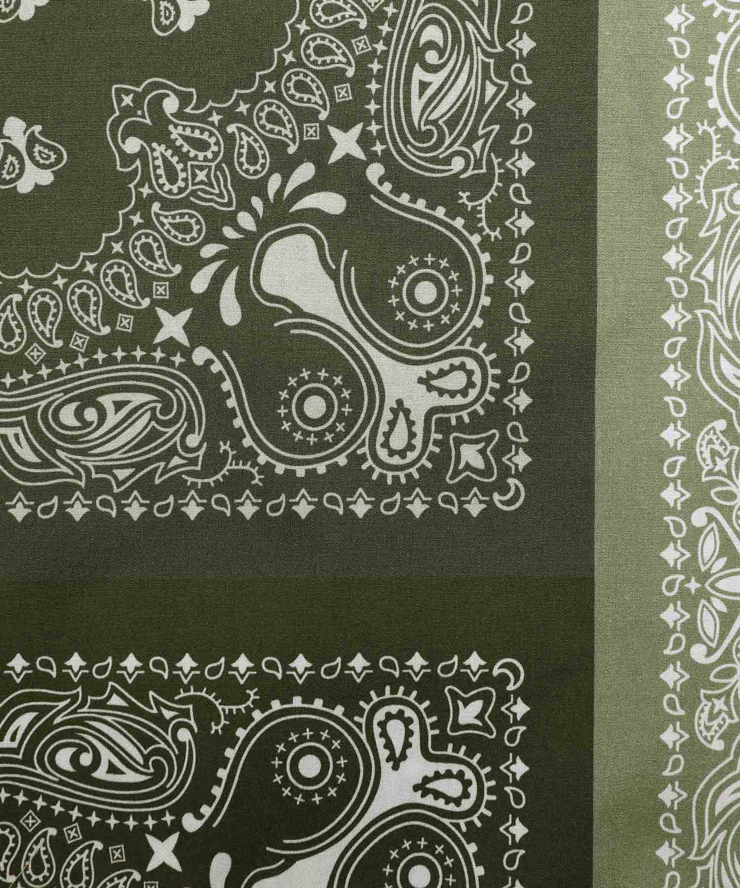 Paisley Shirt[FRS021]