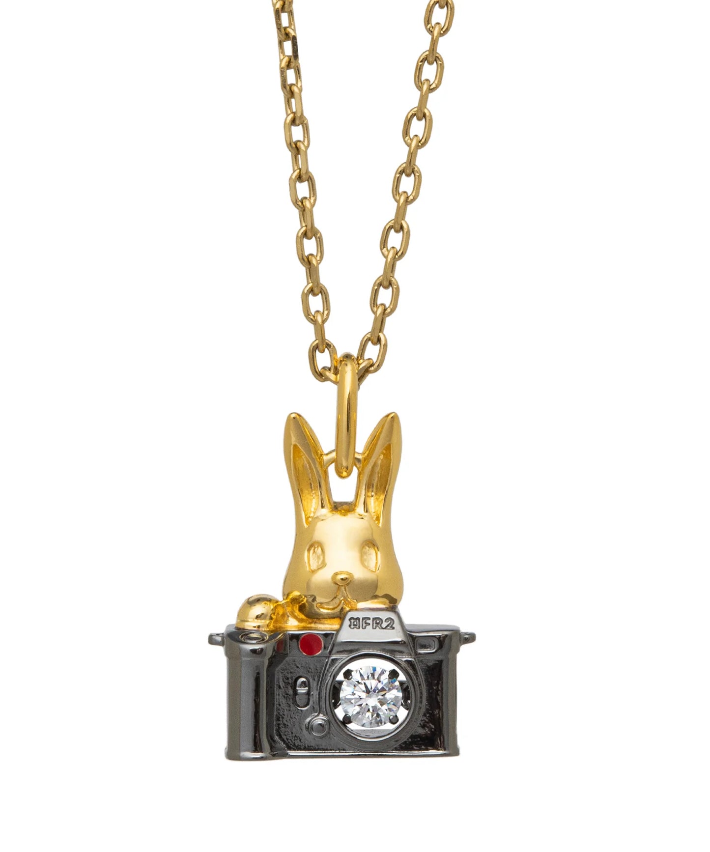 Dancing Stone Photographer Rabbit Necklace