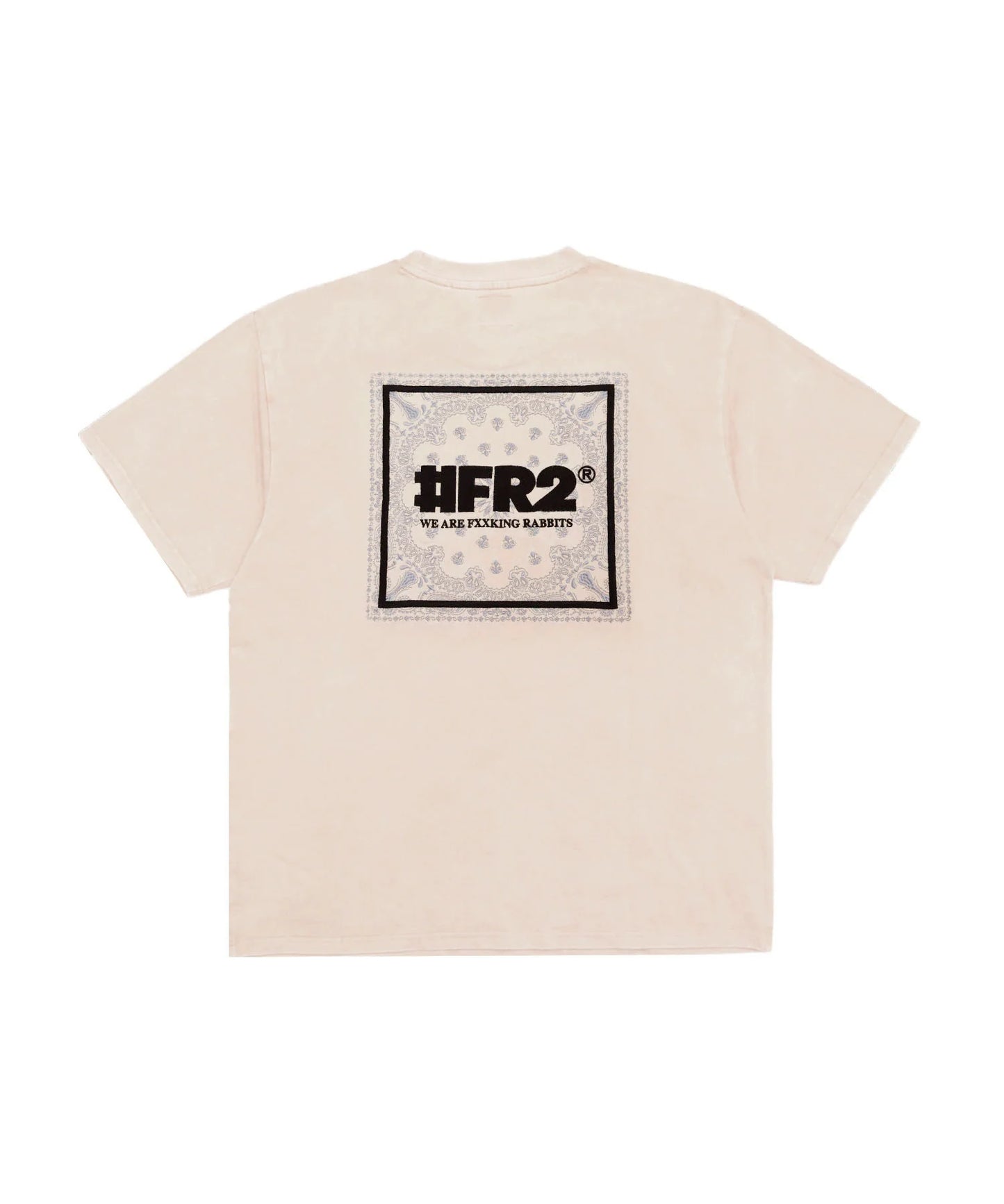 Acid Wash Embroidery Paisley T-shirt