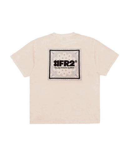 Acid Wash Embroidery Paisley T-shirt