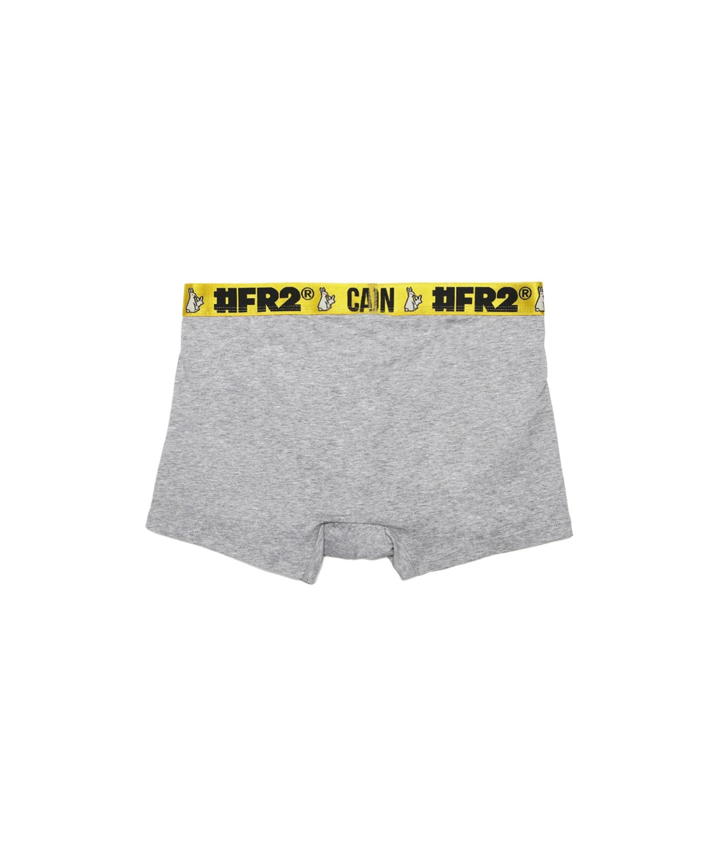 Classic Boxer Brief[FRA1389]