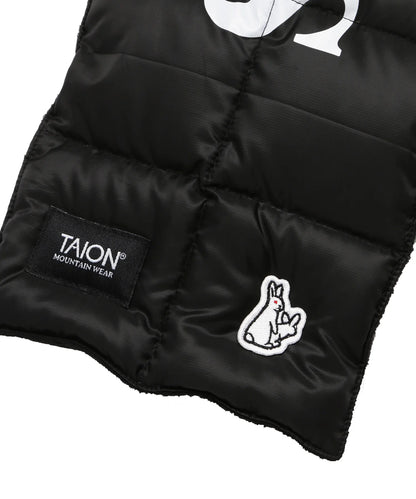 TAION Collaboration with #FR2 Down Muffler