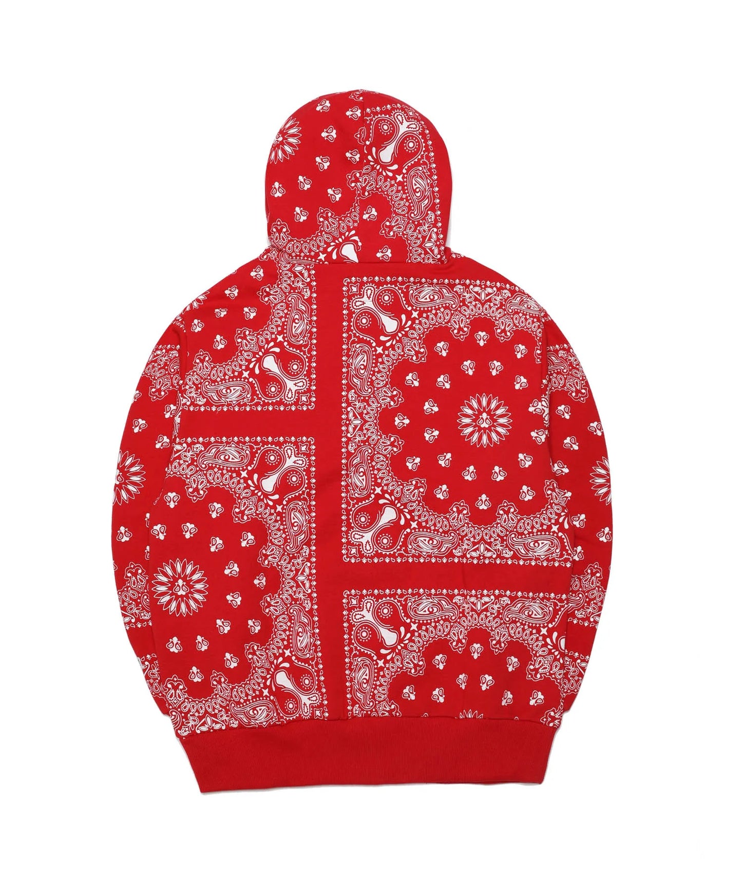 Paisley Hoodie[FRC1172]