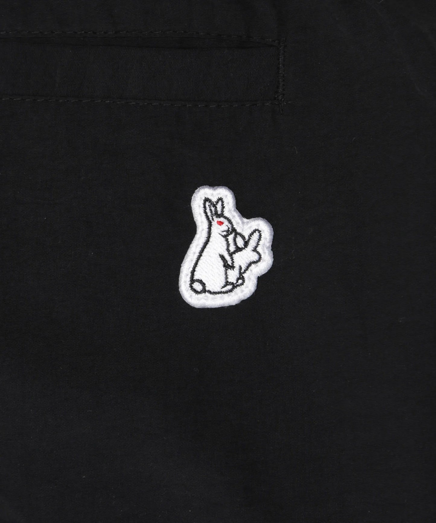 Earth Logo Embroidery Nylon Pants