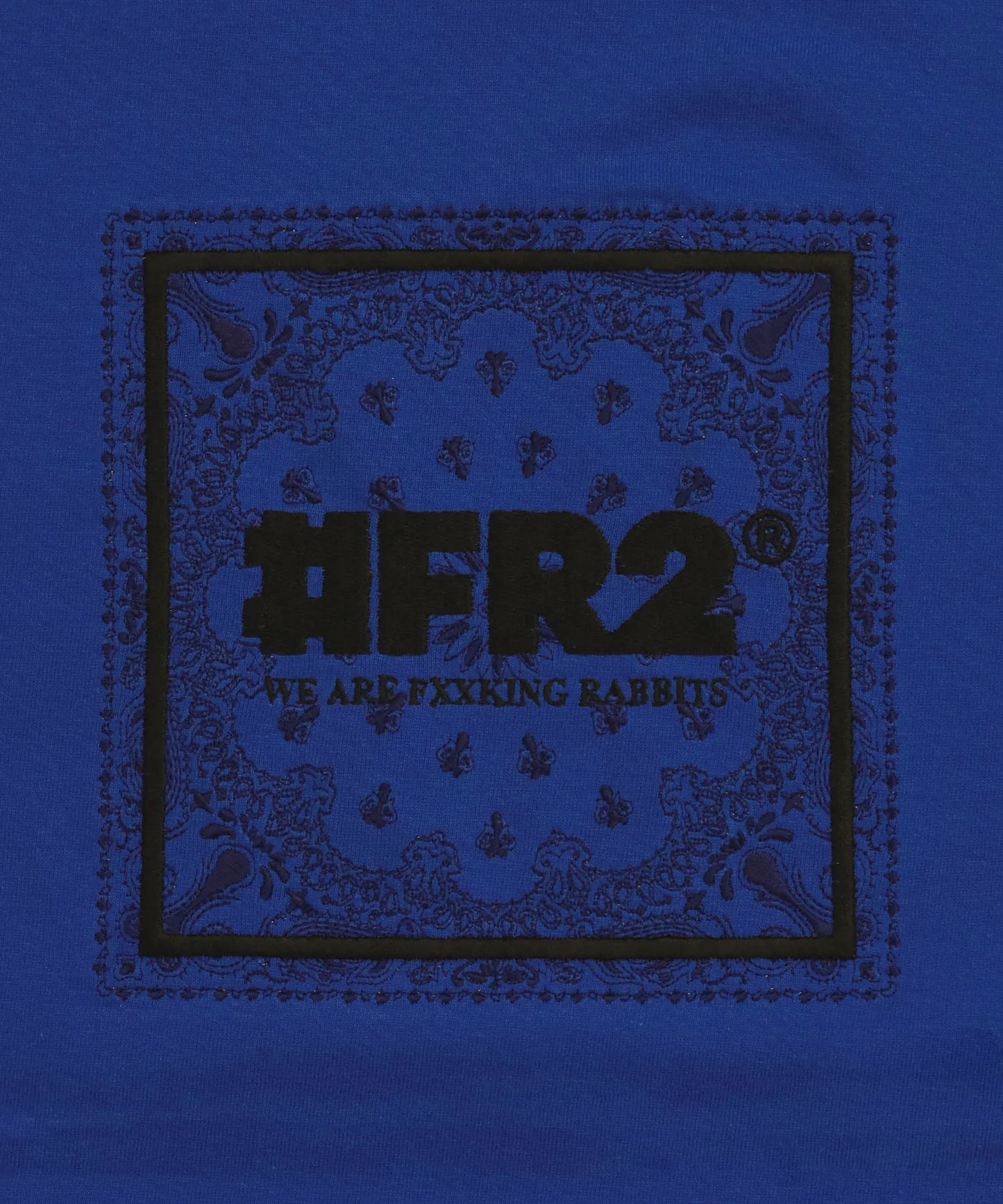 Embroidery Box Paisley Logo T-shirt