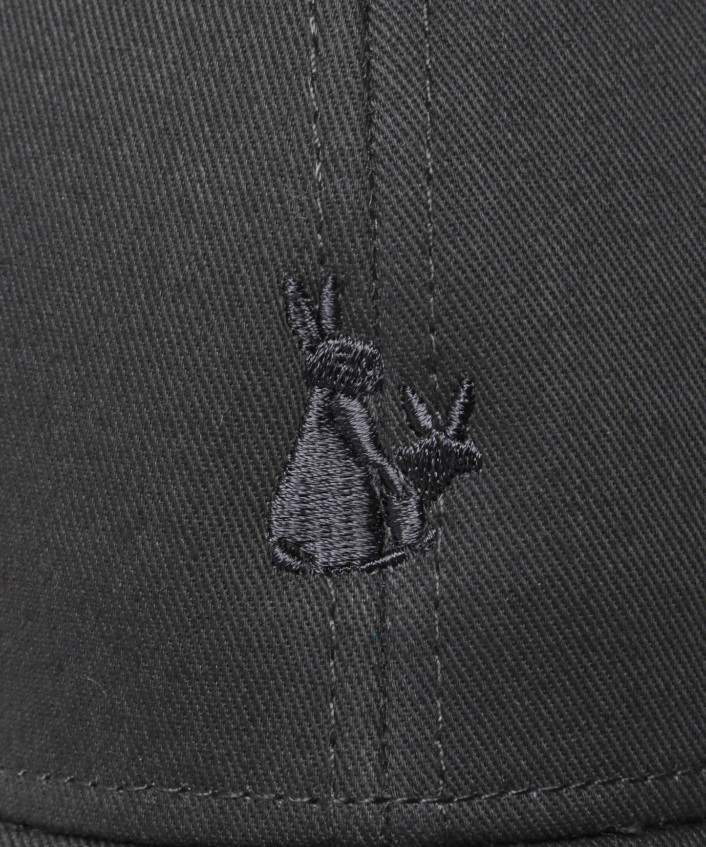 Rabbits Icon Six Panel Cap