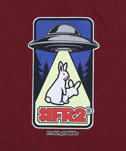 Rabbits Abducted by UFO Hoodie