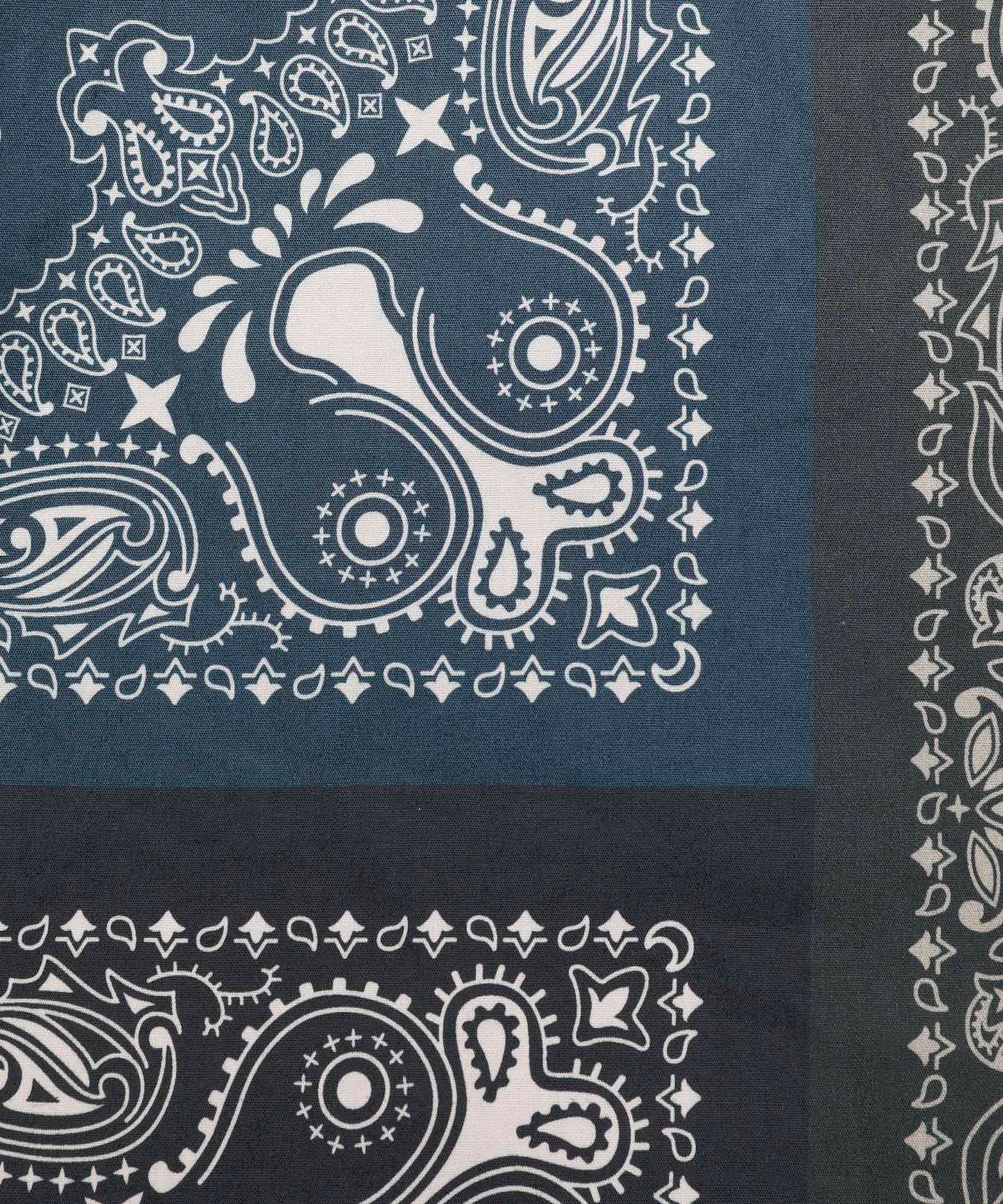 Paisley Shirt[FRS021]