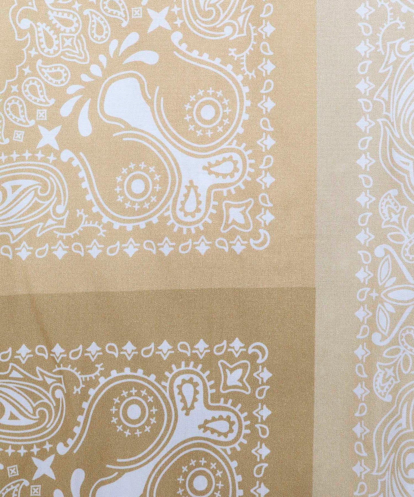 Paisley Shirt[FRS021]