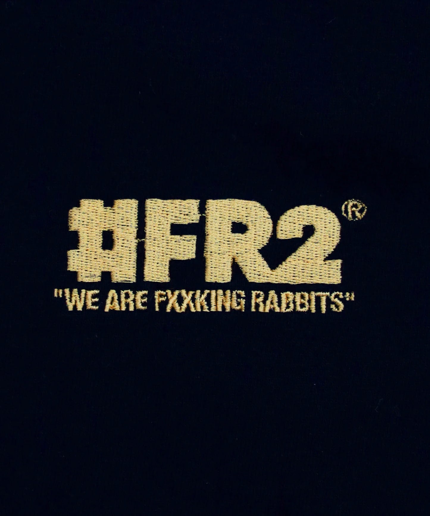 ＃FR2 Big Logo T-shirt